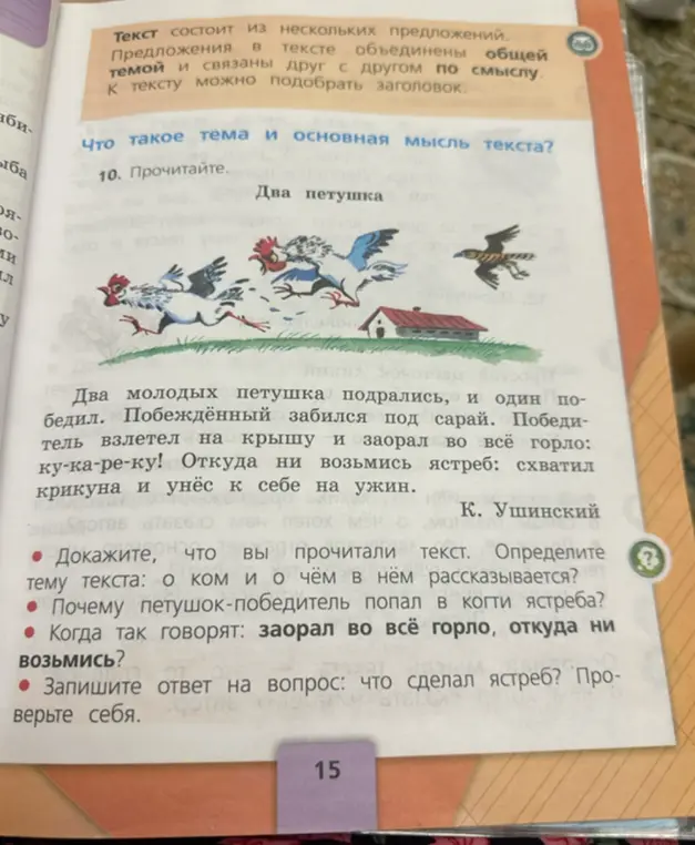 Предложи доказательство, что прочитал текст, и определи тему текста.