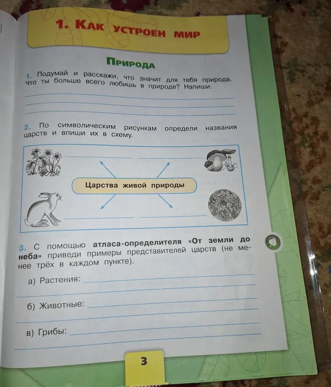 Составь названия царств по символическим рисункам и приведи примеры представителей царств из атласа-определителя