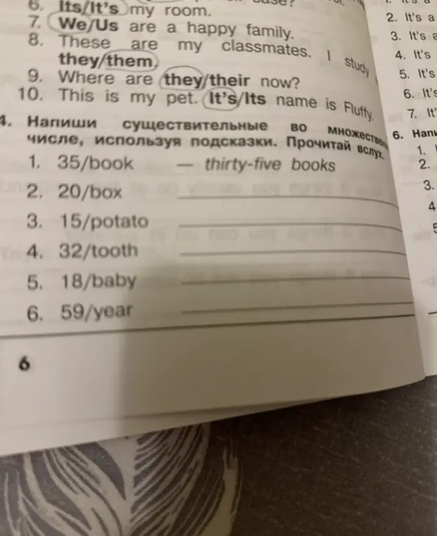 Составь предложения во множественном числе, используя подсказки в упражнении 4.