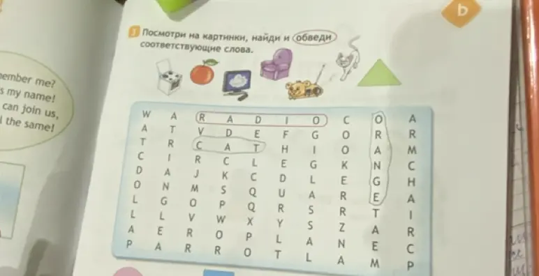 Посмотри на картинки, найди и обведи соответствующие слова