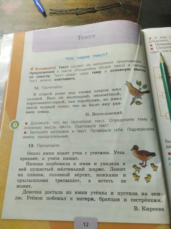 Определи тему и основную мысль текста №12 и №13. Озаглавь текст. Запиши заголовок и текст. Подчеркни имена прилагательные.