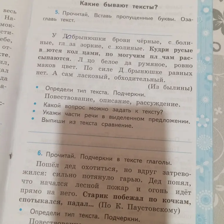 Прочитай текст, вставь пропущенные буквы и озаглавь текст
