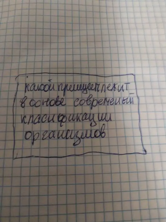 Какой принцип лежит в основе современной классификации организмов?