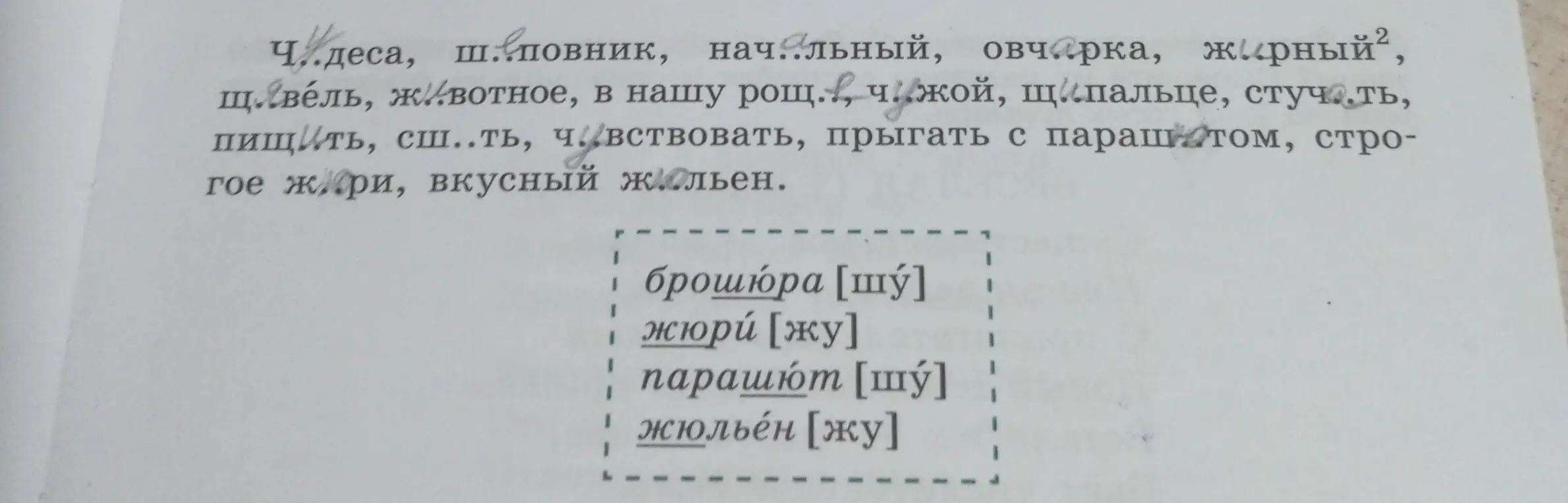 Заполни пропуски в словах: Ч..деса, ш..повник, нач..льный...