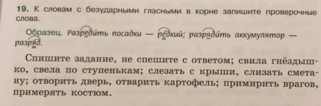 Подбери проверочные слова к словам с безударными гласными в корне: свила гнёздышко