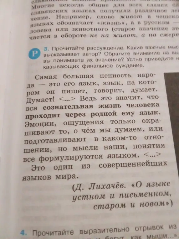 Какие важные мысли высказывает автор в рассуждении о языке?