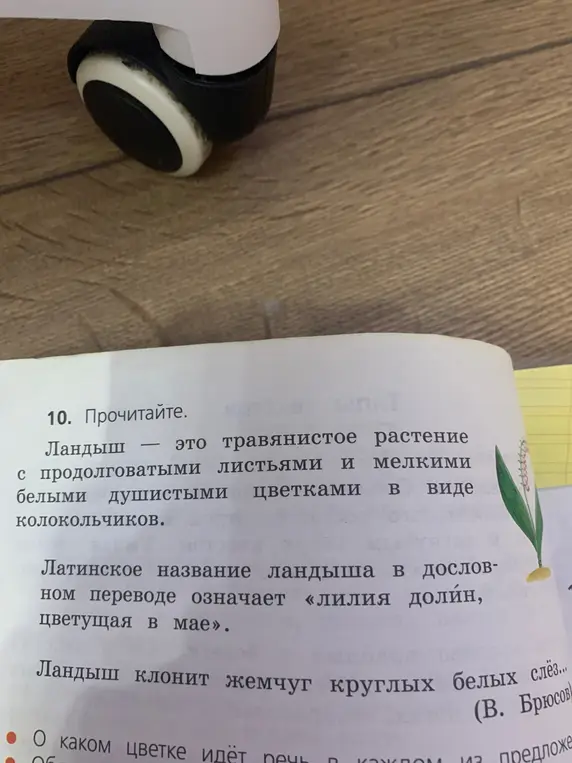 Какие выразительные средства использовал В.Брюсов, чтобы описать ландыш?