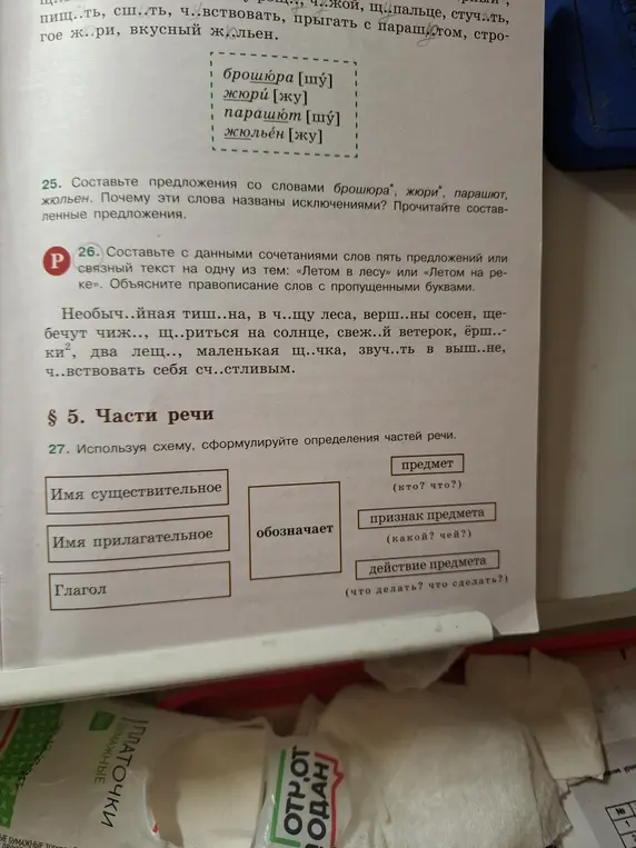 Объясни, как выполнить задания 25, 26, 27 по русскому языку