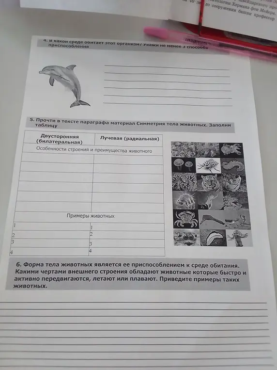 В какой среде обитает организм, изображённый на картинке? Заполни таблицу. Приведи примеры животных.
