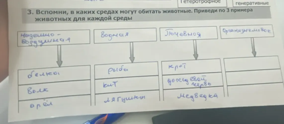 Помоги вспомнить, в каких средах могут обитать животные и приведи по 3 примера для каждой среды