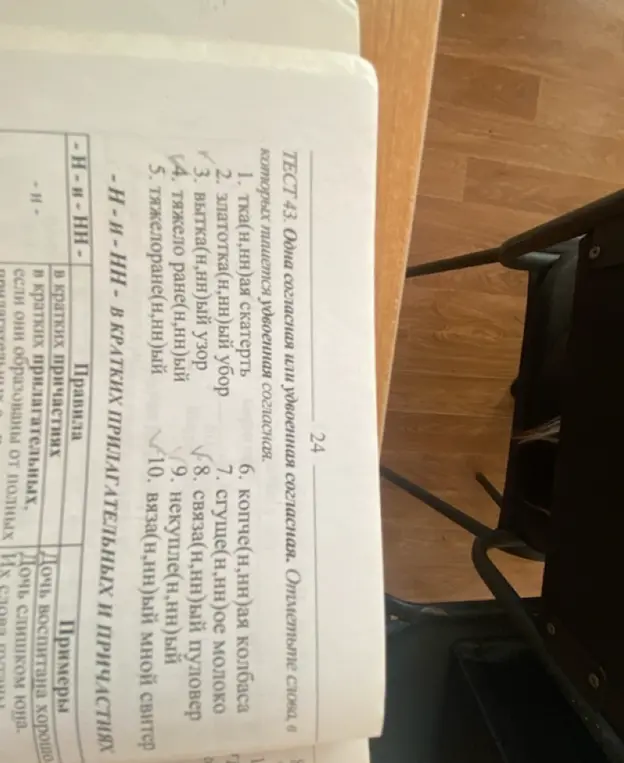 Объясни, в каких словах из текста нужно писать удвоенную согласную.