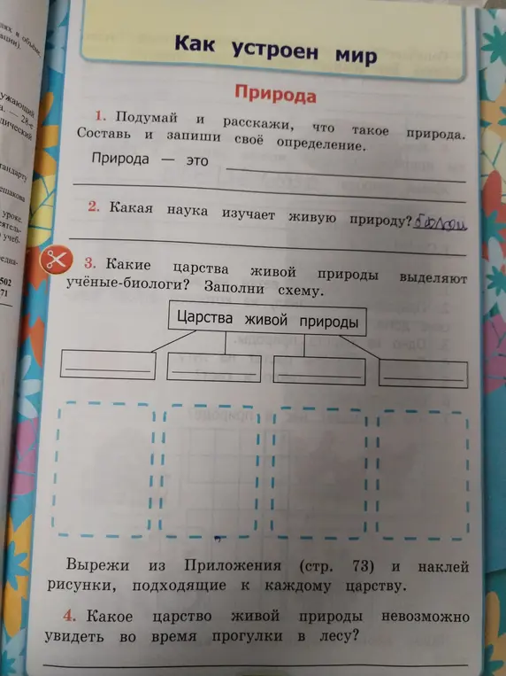 Можешь ли ты помочь мне ответить на вопросы о природе и царствах живой природы?