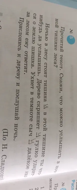 Что можно услышать в ночной тишине леса?