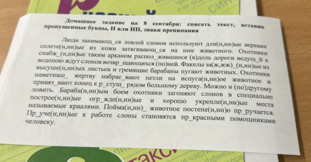 Помоги мне с домашним заданием, нужно списать текст, вставив пропущенные буквы, Н или НН, и знаки препинания