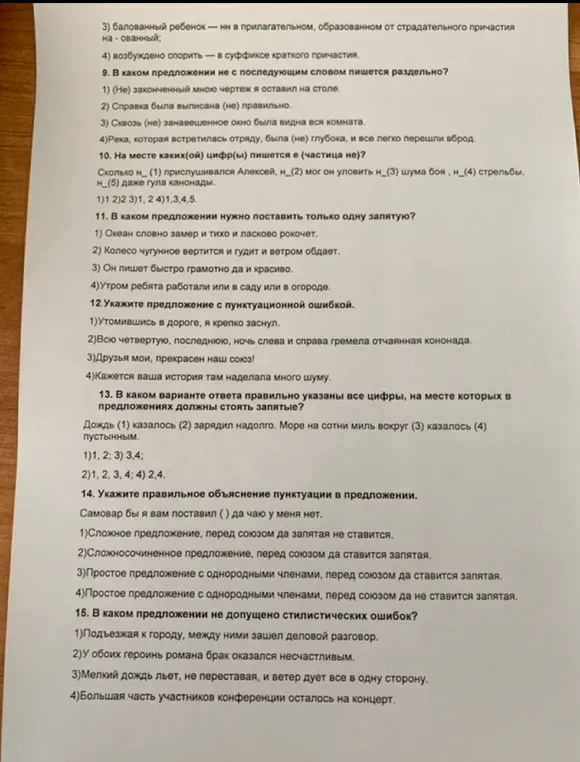 Можешь ли ты решить тест по русскому языку?