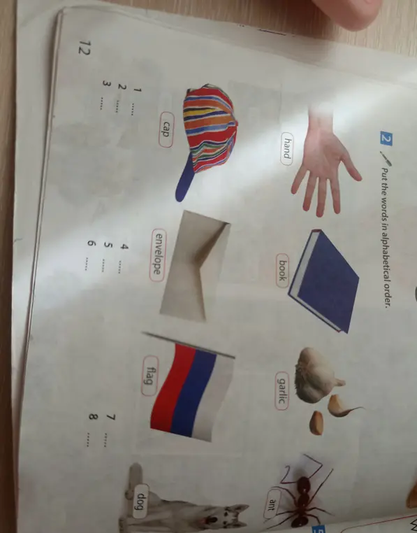 Расставь слова в алфавитном порядке.