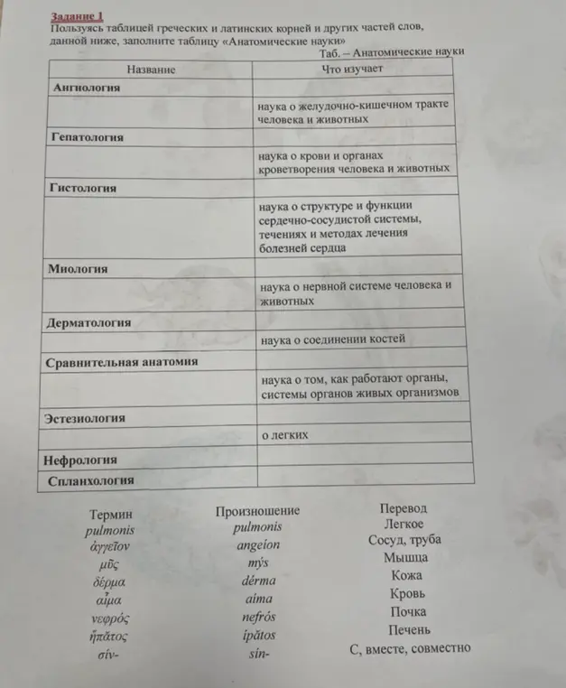Заполни таблицу «Анатомические науки»
