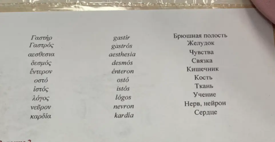 Заполни таблицу «Анатомические науки»