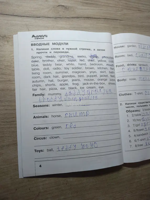 Напиши слова в нужной строчке, а затем прочти и переведи