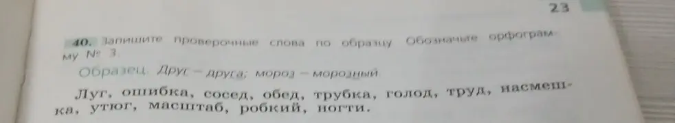 Помоги подобрать проверочные слова к словам: луг, ошибка, сосед, обед, трубка, голод, труд, насмешка, утюг, масштаб, робкий, ногти