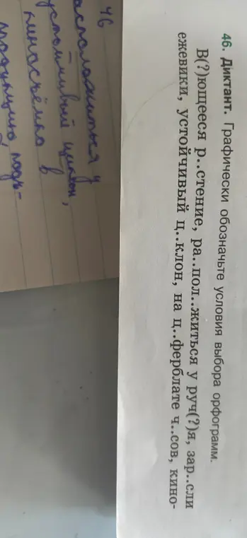Ты просишь обозначить графически условия выбора орфограмм в словах: в(?)ющееся растение, ра..пол..житься у руч(?)я, зар..сли ежевики, устойчивый ц..клон, на ц..ферблате ч..сов.