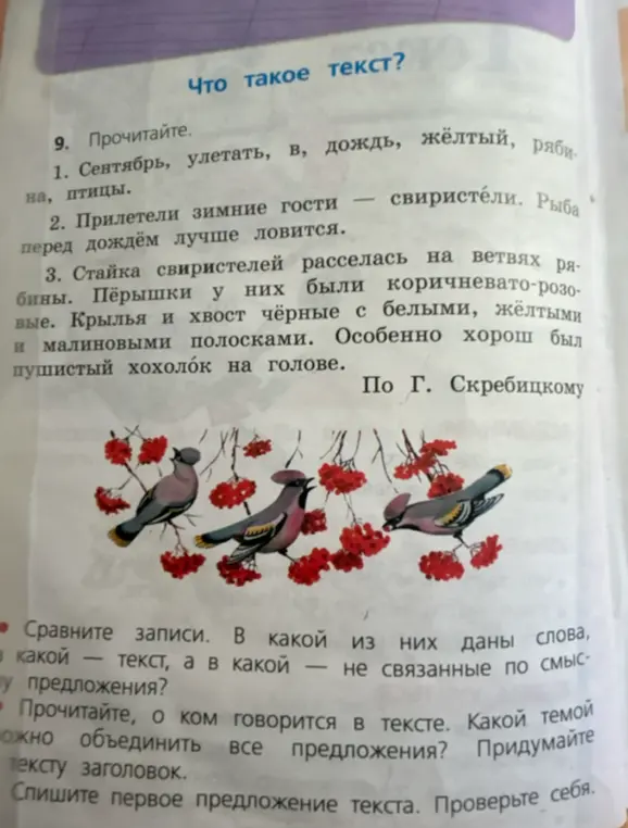 Сравни записи: что является текстом, а что - не связанные по смыслу предложения?