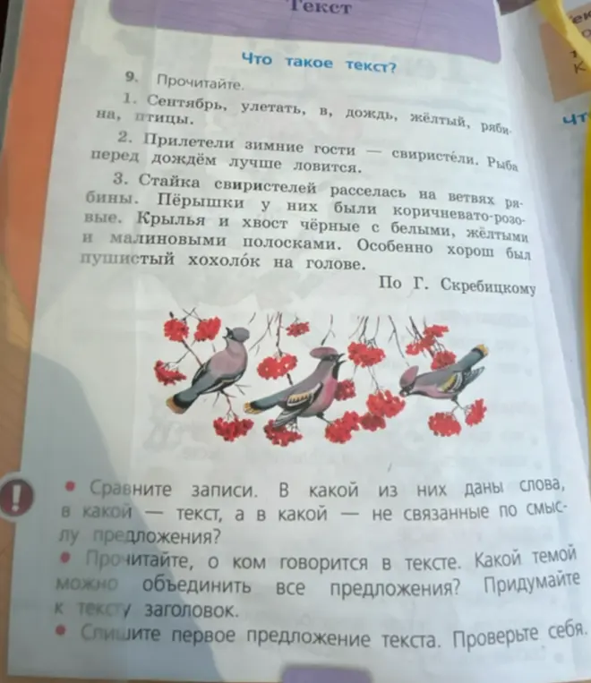 Сравни записи. В какой из них даны слова, в какой — текст, а в какой — не связанные по смыслу предложения?