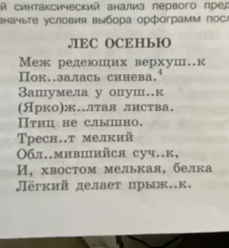 Как вставить пропущенные буквы в словах текста "Лес осенью"?