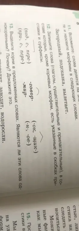 Выдели корни в словах 'заводит, водоросли'. Являются ли эти слова однокоренными?