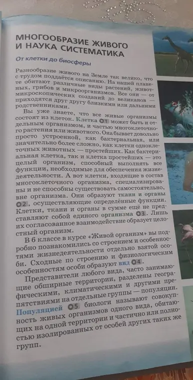 Можешь ли ты дать определения словам, выделенным цифрами?