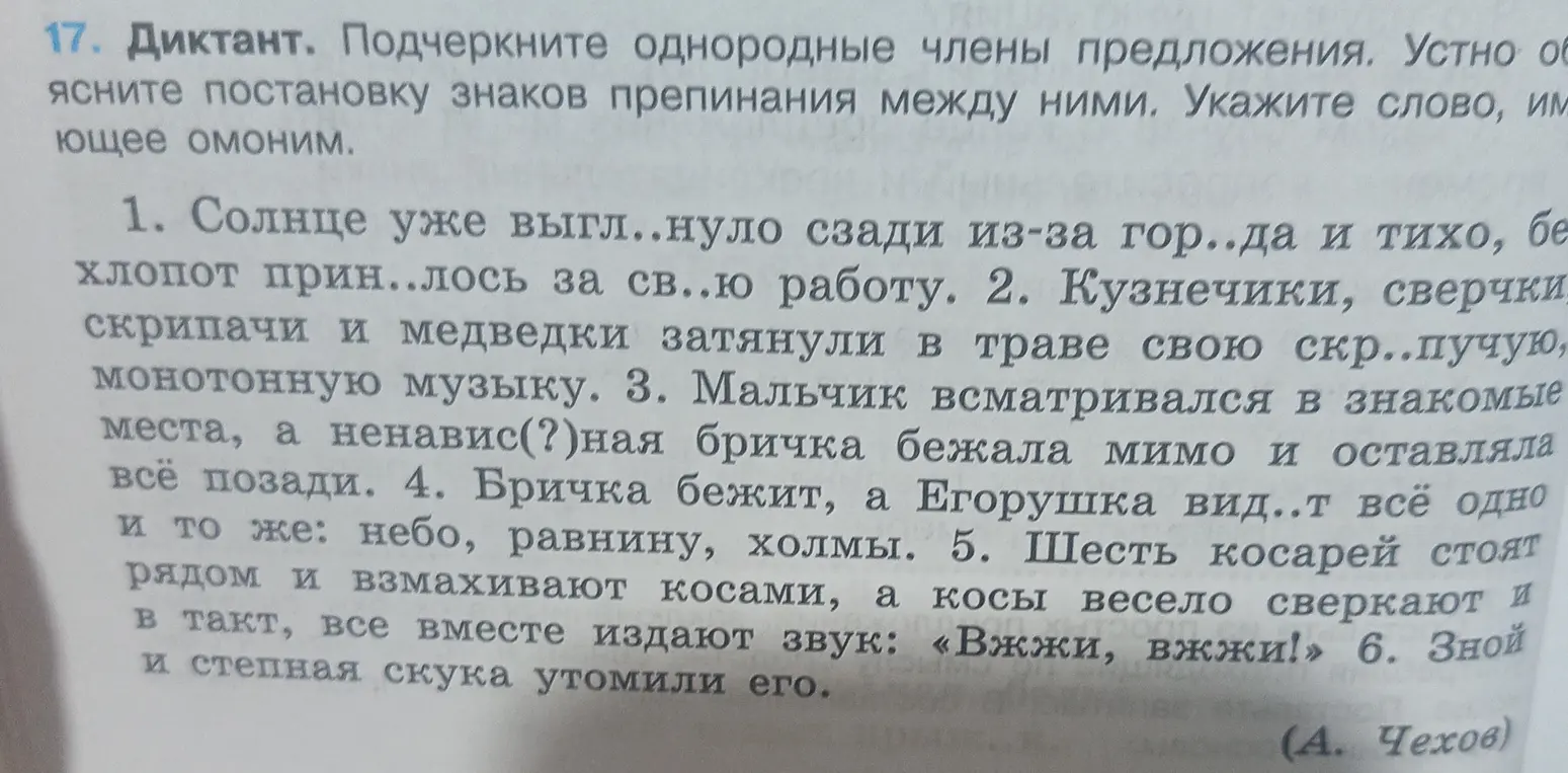 Ты просишь подчеркнуть однородные члены предложения и указать слово, имеющее омоним в упражнении 17.