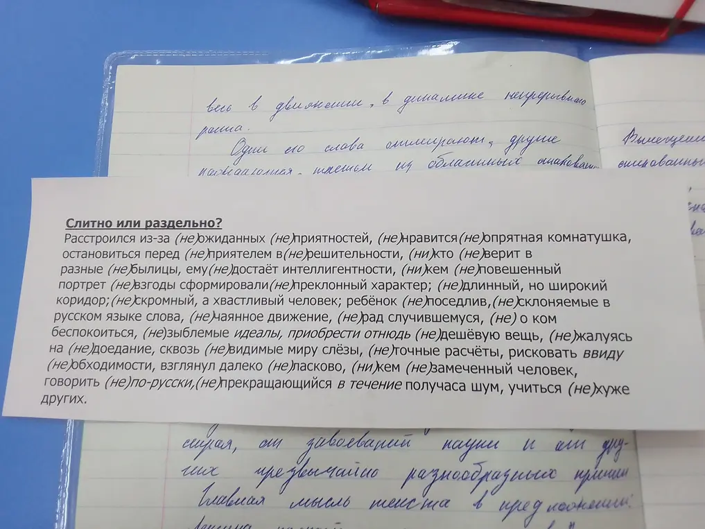 Объясни, слитно или раздельно нужно писать "не" со словами в упражнении по русскому языку