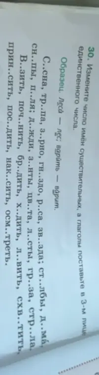 Измени число имен существительных, а глаголы поставьте в 3-м лице единственного числа