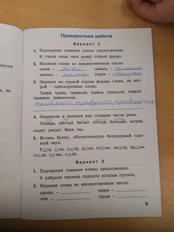 Ты просишь меня помочь тебе с упражнениями по русскому языку. В первом варианте тебе нужно подчеркнуть главные члены предложения, написать слова во множественном числе, записать однокоренные слова, определить части речи и вставить букву, обозначающую безударный гласный звук. Во втором варианте - подчеркнуть главные члены предложения и написать слова во множественном числе.