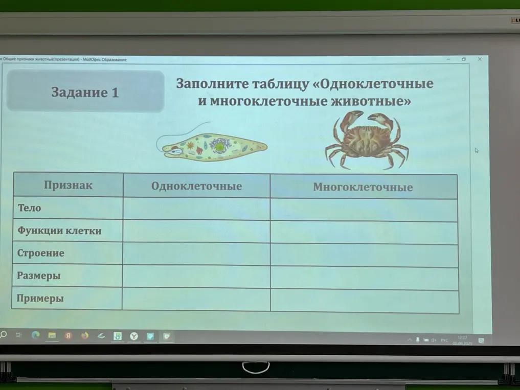 Заполни таблицу «Одноклеточные и многоклеточные животные»