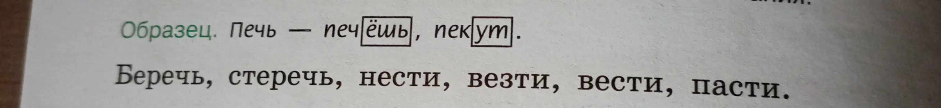 Проспрягай глаголы: беречь, стеречь, нести, везти, вести, пасти.