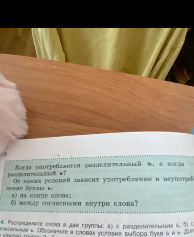 Объясни, когда употребляется разделительный ъ, а когда разделительный ь? Распредели слова в две группы: с разделительным ъ; с разделительным ь.