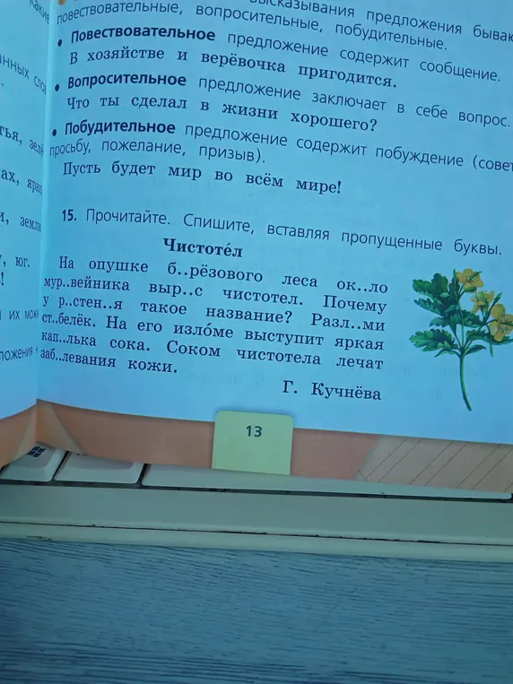 Вставь пропущенные буквы в тексте про чистотел