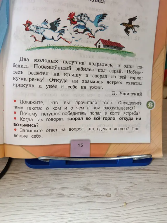 Ответь на вопросы по тексту "Два молодых петушка"