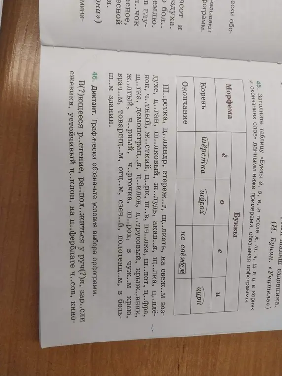 Можешь ли ты помочь мне заполнить таблицу «Буквы ё, о, е, и после ж, ш, ч, щ и ц в корнях и окончаниях слов» данными ниже примерами и графически обозначить условия выбора орфограмм в диктанте?