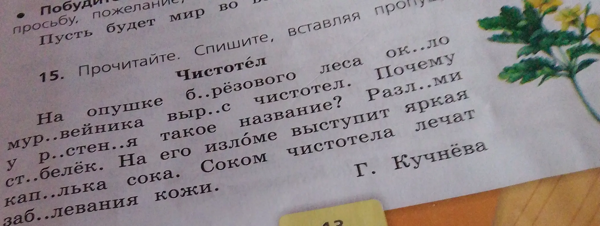 Предлагаешь вставить пропущенные буквы и выделить корень слова «чистотел».