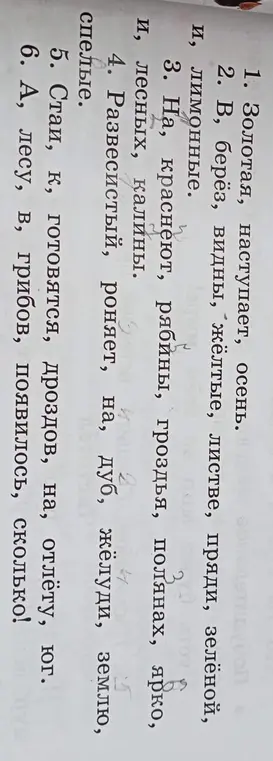 Найди слова.