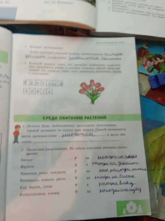 Помоги заполнить пропуски в заданиях о растениях.