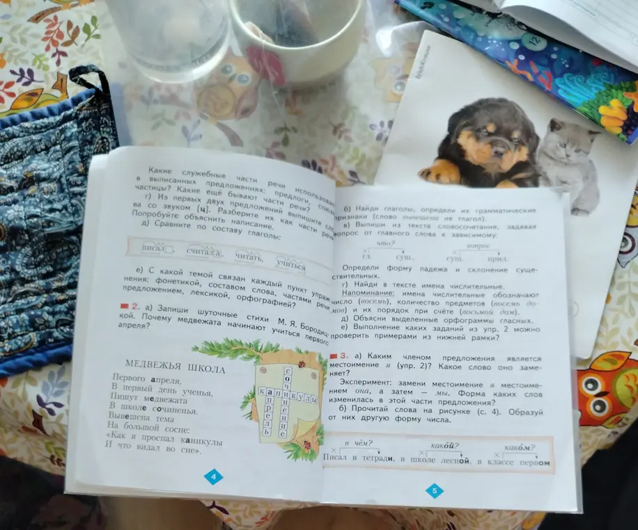 Запиши шуточные стихи М. Я. Бородицкой. Почему медвежата начинают учиться первого апреля?