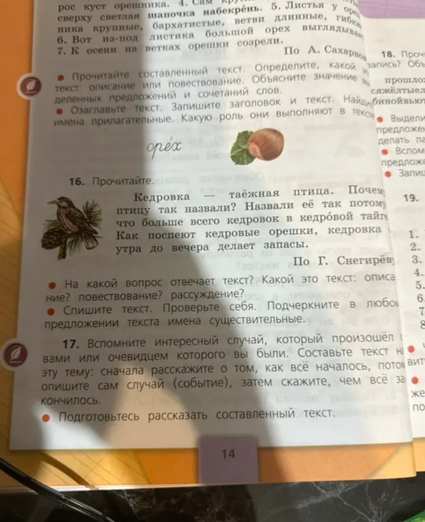 Прочитай текст про кедровку. На какой вопрос он отвечает? Какой это текст: описание, повествование, рассуждение? Спиши текст, проверь себя, подчеркни имена существительные.
