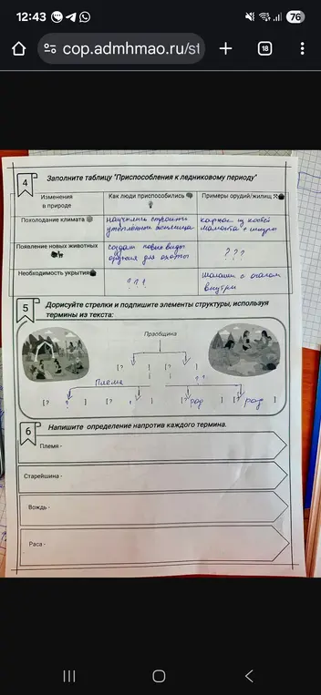 Помоги мне заполнить таблицу "Приспособления к ледниковому периоду" и написать определение напротив каждого термина