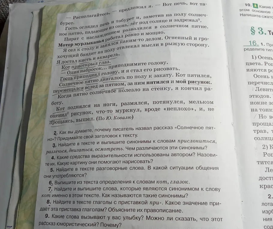 Можешь ли ты ответить на вопросы по рассказу "Солнечное пятно"?