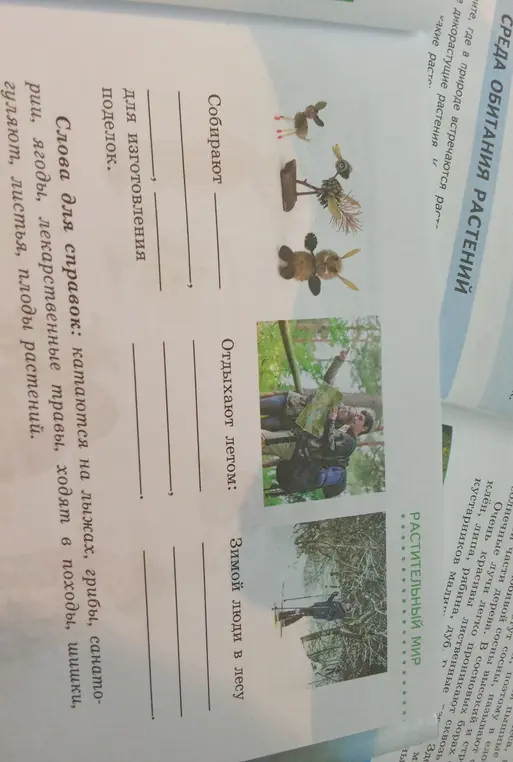 Заполни пропуски в тексте, используя слова для справок