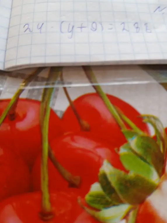 Помоги мне решить уравнение 24 - (y + 6) = 288