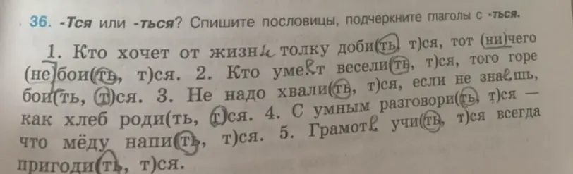 Объясни, как правильно выбрать между -тся и -ться в глаголах в упражнении 36